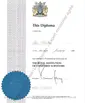 RICS Londres — PM-DL-2025-005