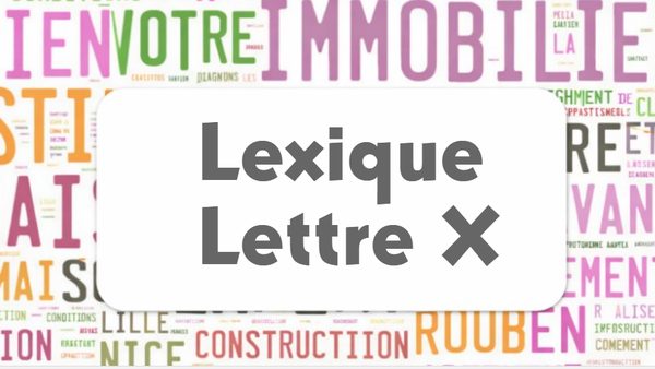 Lexique commercial lettre X : nuage de mots de l'immobilier autour du cartouche Lexique Lettre X