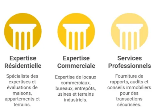 Profil professionnel ProtorMundi